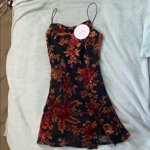 Princess Polly Dress (still tagged!)